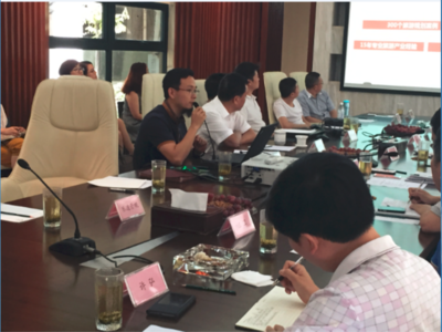 四川眉山田园岷东国际旅游度假区（康养温泉小镇）综合开发项目策划及概念性规划